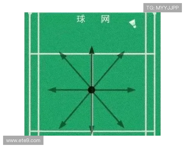 上海羽毛球队整体压制的深度解析与战术揭秘 上海羽毛球队整体压制的深度解析与战术揭秘