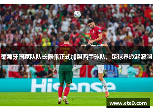 葡萄牙国家队队长佩佩正式加盟西甲球队，足球界掀起波澜